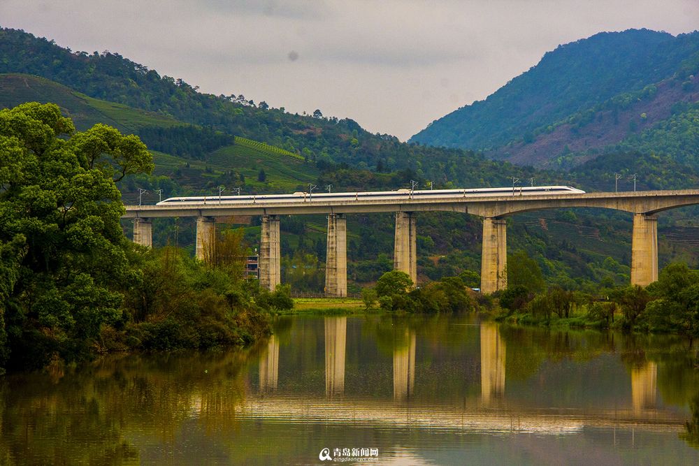 实拍最美高铁线路 青岛至厦门列车画中行