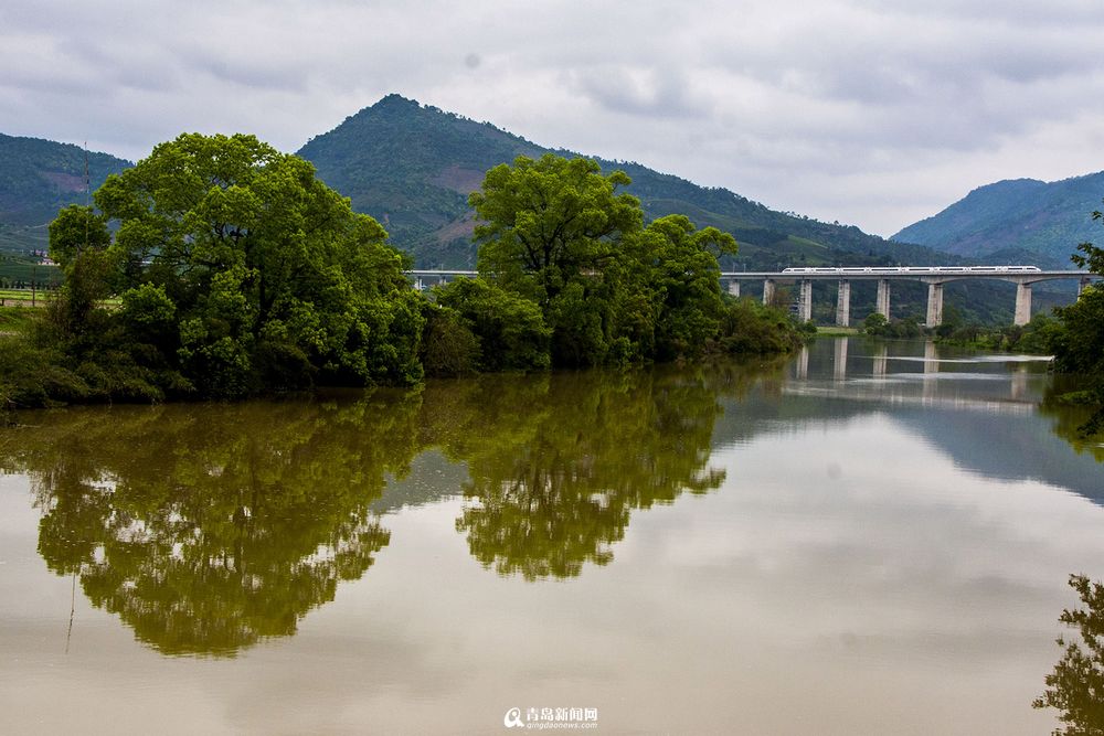 实拍最美高铁线路 青岛至厦门列车画中行