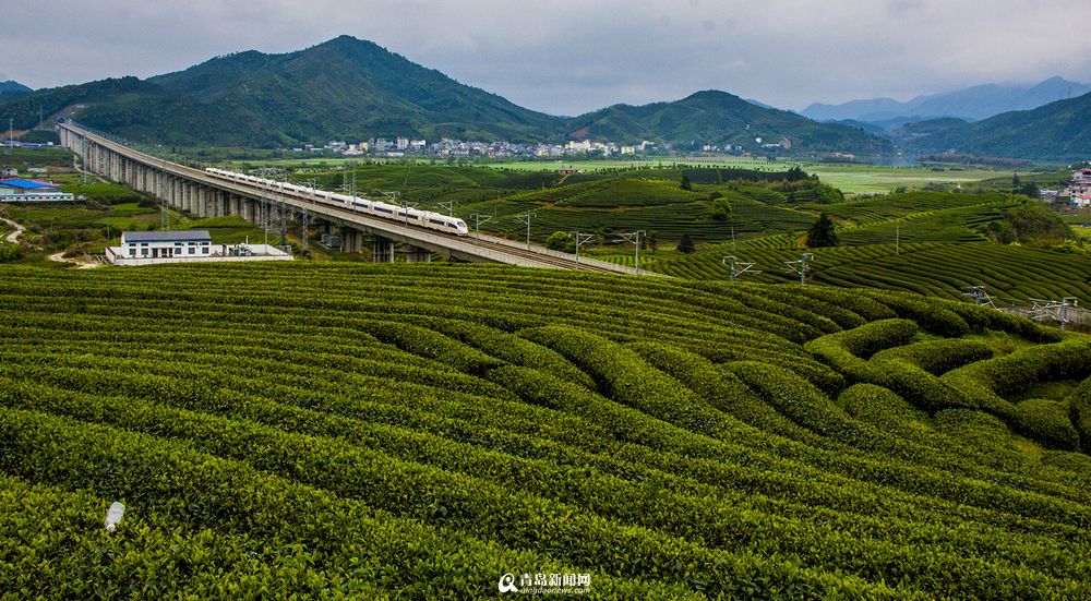 实拍最美高铁线路 青岛至厦门列车画中行