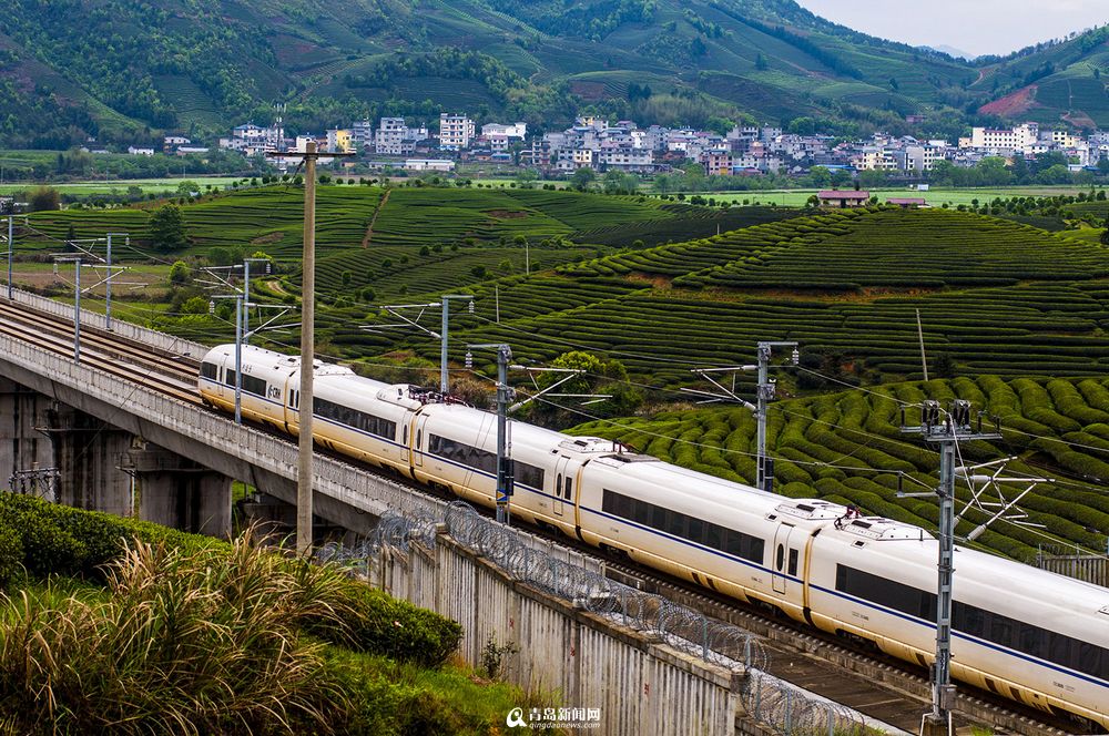 实拍最美高铁线路 青岛至厦门列车画中行