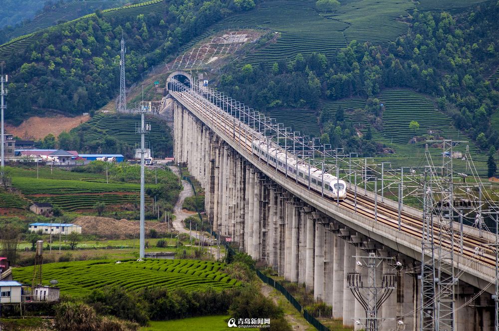 实拍最美高铁线路 青岛至厦门列车画中行