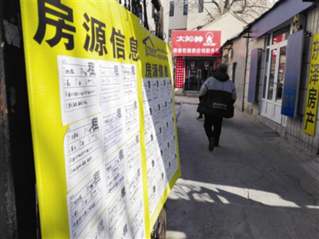 青岛租房每平均价23.51元 不少房客转租为购 青岛租房每平均价23.51元 不少房客转租为购