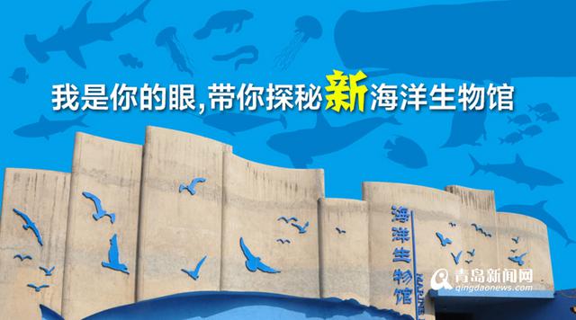 海底海洋生物馆将开放