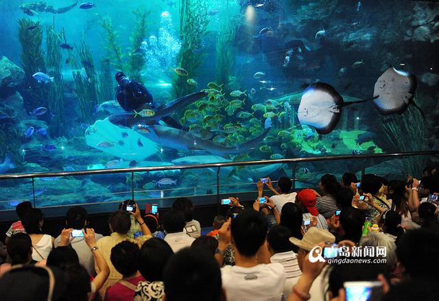 海底海洋生物馆将开放