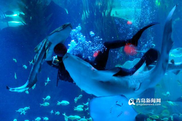 海底海洋生物馆将开放