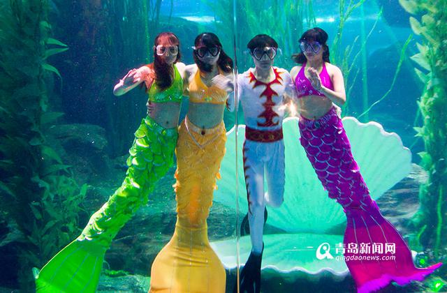 海底海洋生物馆将开放