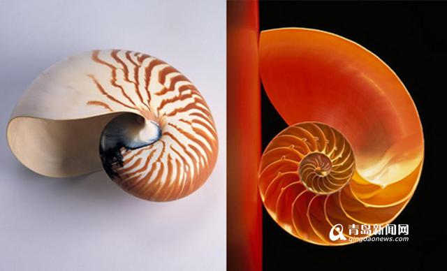 海底海洋生物馆将开放