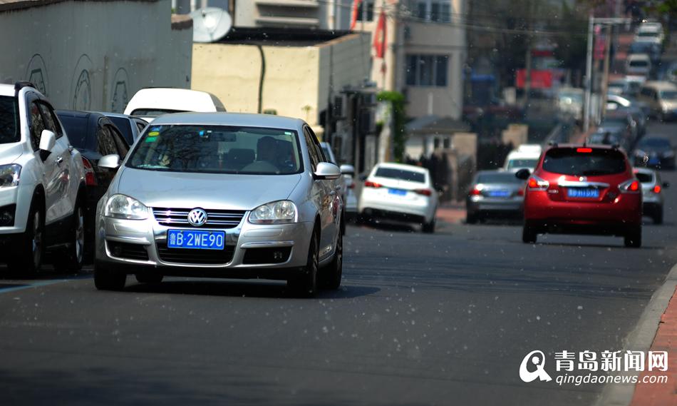 杨絮纷飞似飘雪 过敏体质人士要防护