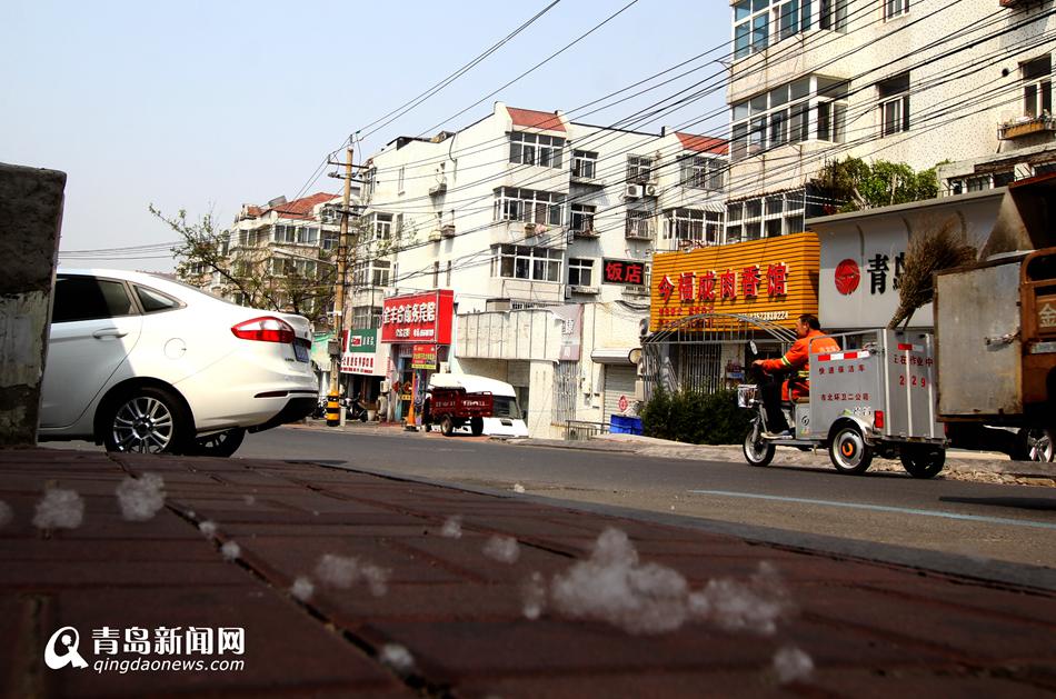 杨絮纷飞似飘雪 过敏体质人士要防护