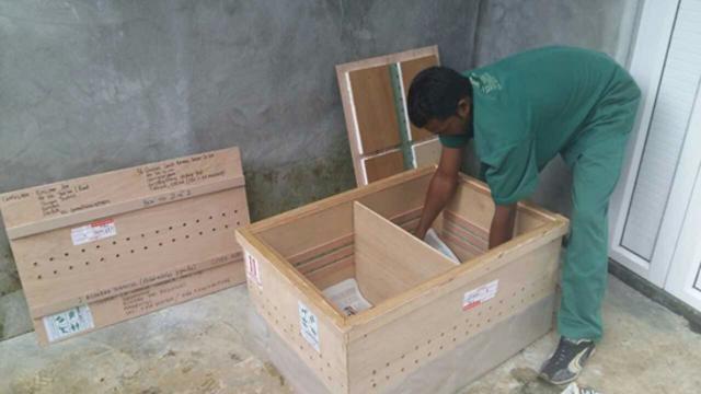 4只亚达伯拉象龟运抵青岛 