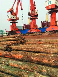 董家口建国际木材交易产业园 总投超百亿(图)