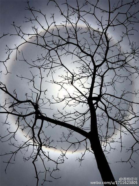 高清:青岛天空惊现绝美日晕奇观 刷爆朋友圈