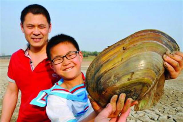 胶州水库见底 市民挖6.8斤河蚌堪称巨无霸(图) 胶州水库见底 市民挖6.8斤河蚌堪称巨无霸(图)