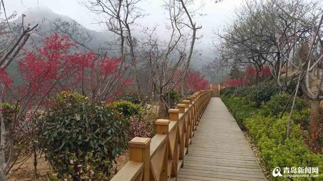 浮山生态公园崂山段年底建成 体育场6月开放