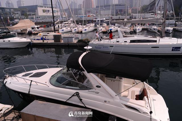 海上观光旺季开启 浮山湾这么多船你认识几种 海上观光旺季开启 浮山湾这么多船你认识几种