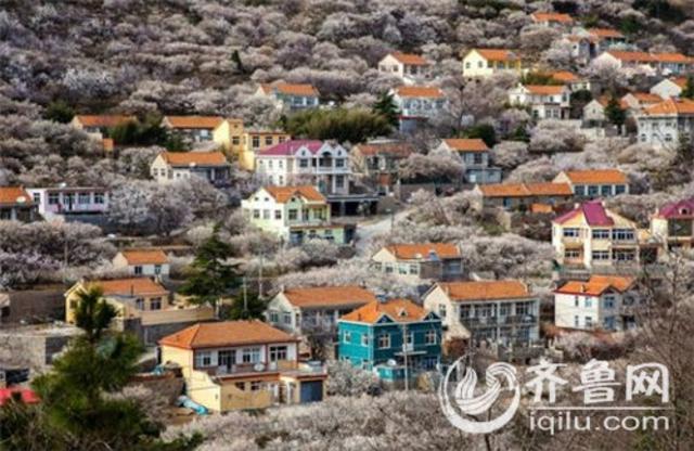 组图:美景相伴吃海鲜 青岛海鲜最正宗十大渔村