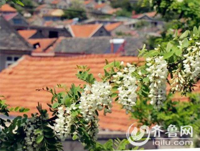 组图:美景相伴吃海鲜 青岛海鲜最正宗十大渔村