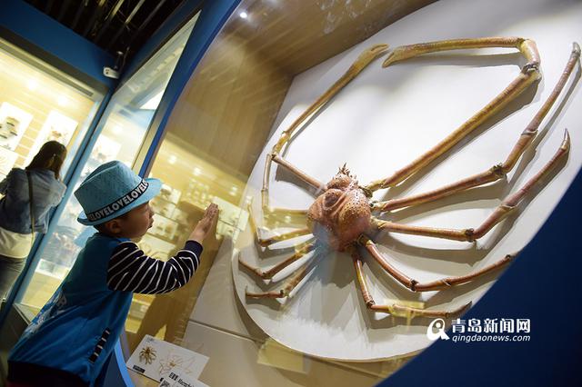 海洋生物馆新装开放 珍贵海底标本亮相