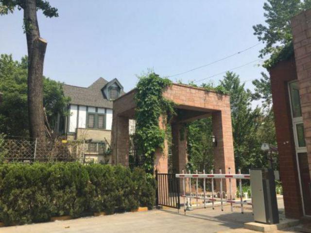 .网络女主播最高月入50万 住豪宅玩老虎 .网络女主播最高月入50万 住豪宅玩老虎