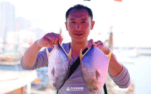 积米崖渔港海鲜飘香 这么多海货你最爱哪一种 积米崖渔港海鲜飘香 这么多海货你最爱哪一种