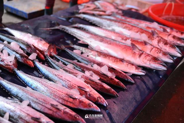 积米崖渔港海鲜飘香 这么多海货你最爱哪一种 积米崖渔港海鲜飘香 这么多海货你最爱哪一种