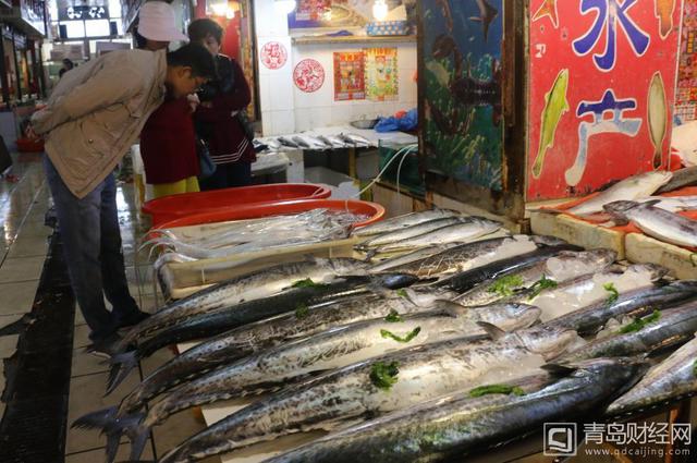 组图:青岛海鲜大量上市 鲅鱼海螺虾虎味美价廉