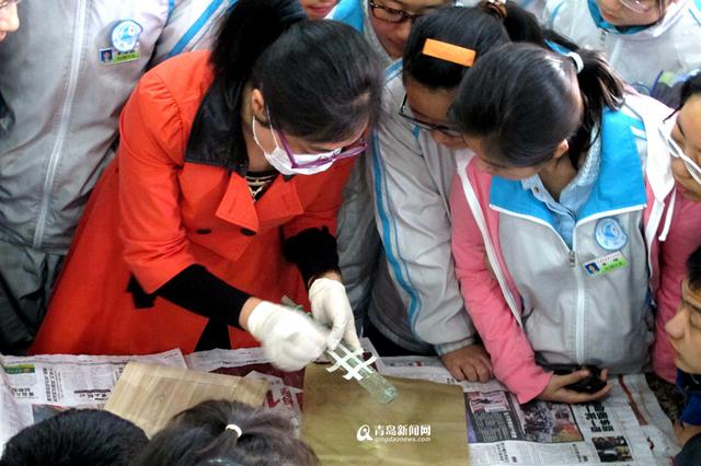 国际博物馆日 价值数亿藏品将亮相市博