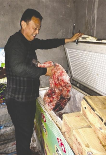 动物园老虎形体消瘦 园方回应：老了，胃口差
