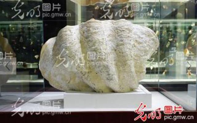 青岛博物馆镇馆之宝:丈八佛险被日本人偷走(图)