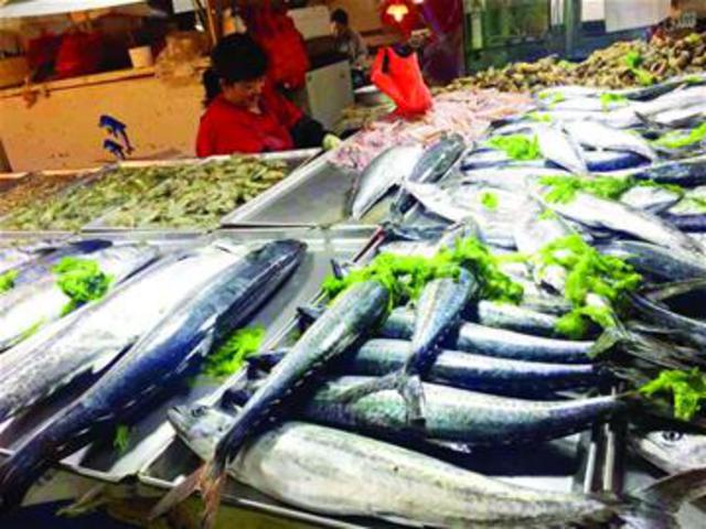15元/斤！春鲜鲅鱼身价到谷底 要吃的抓紧了