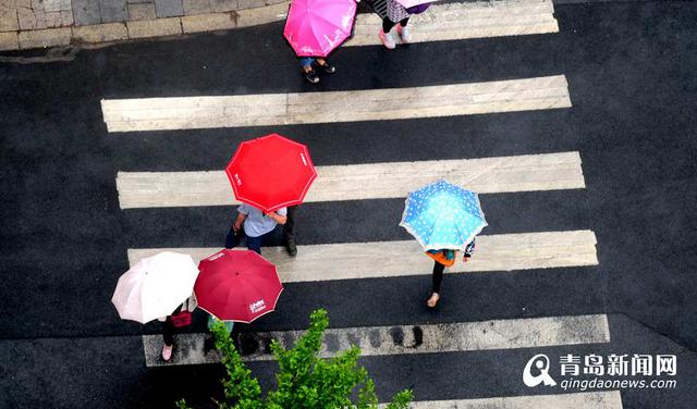 雨天行人撑伞过斑马线 谱写曼妙雨中曲
