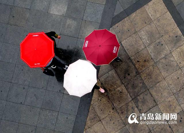 雨天行人撑伞过斑马线 谱写曼妙雨中曲