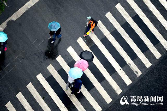 雨天行人撑伞过斑马线 谱写曼妙雨中曲