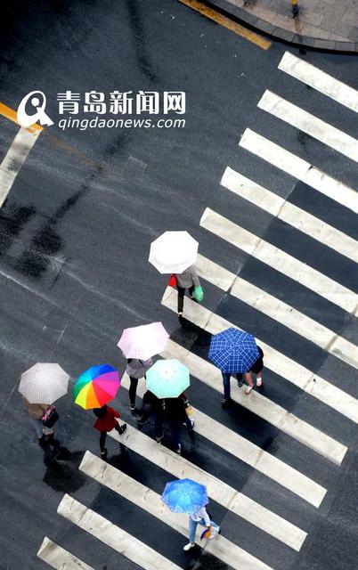 雨天行人撑伞过斑马线 谱写曼妙雨中曲