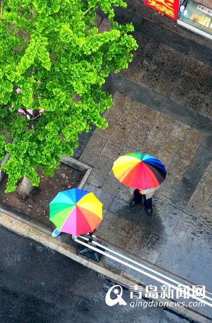 雨天行人撑伞过斑马线 谱写曼妙雨中曲
