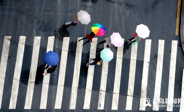 雨天行人撑伞过斑马线 谱写曼妙雨中曲