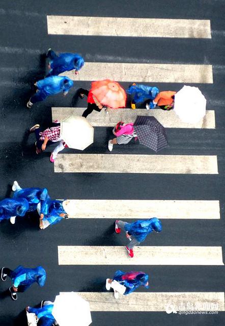 雨天行人撑伞过斑马线 谱写曼妙雨中曲