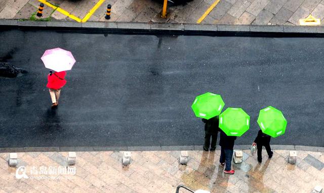 雨天行人撑伞过斑马线 谱写曼妙雨中曲