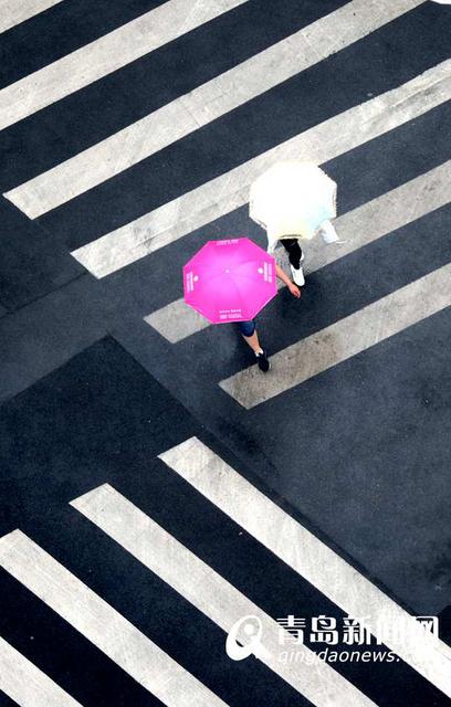 雨天行人撑伞过斑马线 谱写曼妙雨中曲