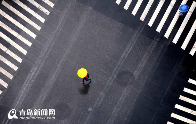 雨天行人撑伞过斑马线 谱写曼妙雨中曲
