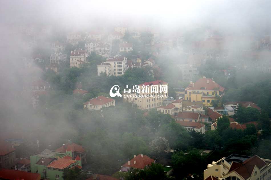 好一幅水墨长卷 雾中青岛简直美翻了天