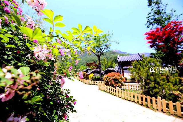 高清:青岛北部再添游玩新去处 竹子庵扩建完工