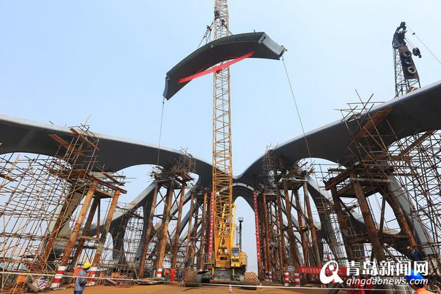 灵山湾珊瑚贝桥上部合龙 灵山湾珊瑚贝桥上部合龙