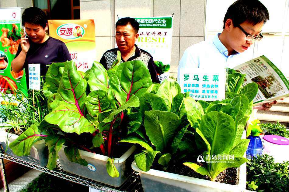 农超对接聚齐千种果蔬 现场达成采购意向2.3亿