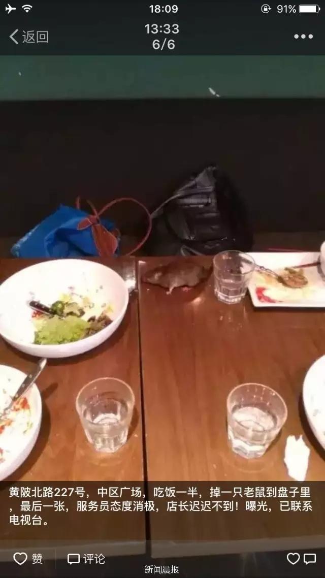 上海餐厅顾客就餐时活老鼠“落”到脖子上