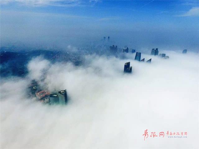 高清:网友曝青岛治愈系美图 平流雾景观像场梦