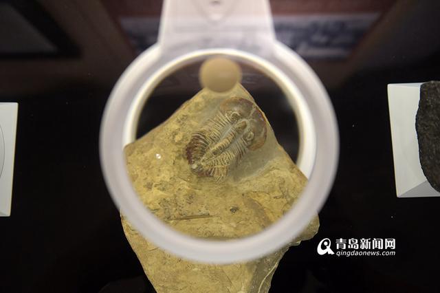 高清:八大关又一别墅开放 变身地质之光展览馆