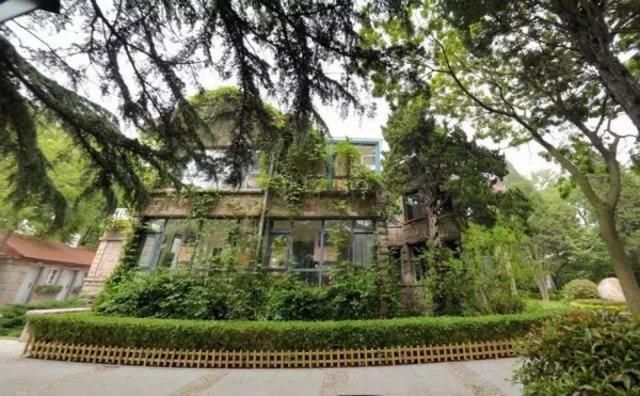 探访八大关里的经典别墅:多位名人曾下榻