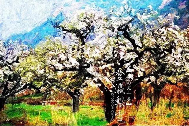 组图:80年前的'青岛十景',你去过几个? 组图:80年前的'青岛十景',你去过几个?