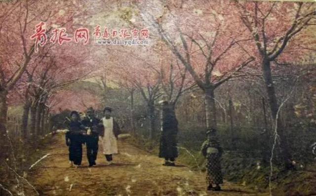 组图:80年前的'青岛十景',你去过几个? 组图:80年前的'青岛十景',你去过几个?